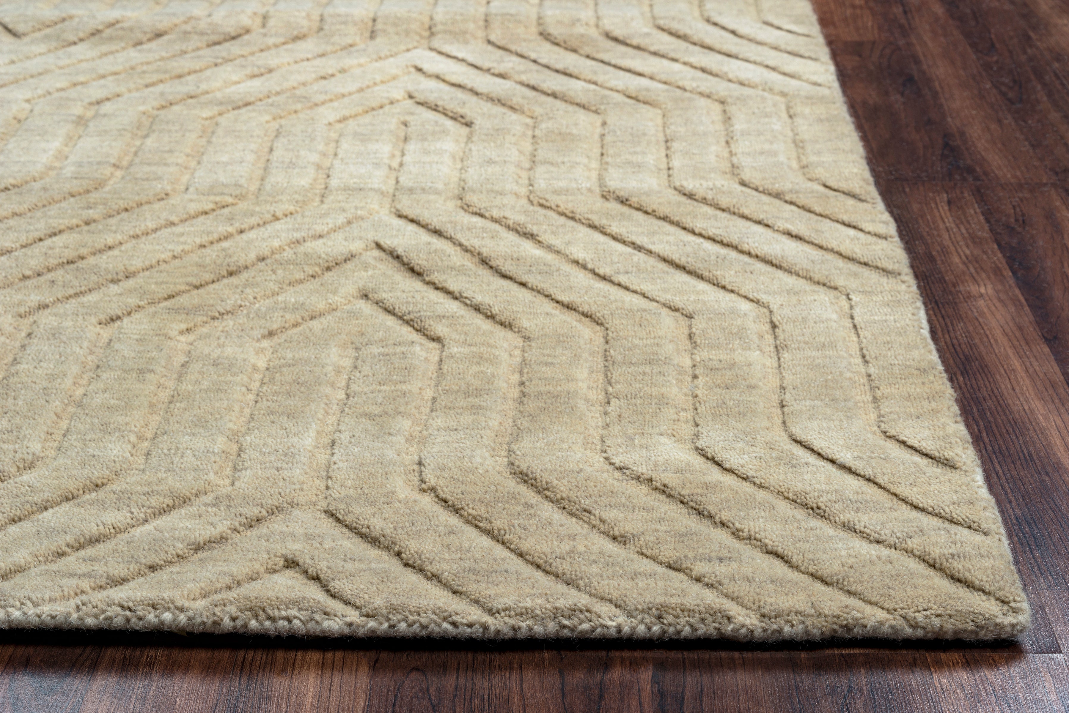 Rizzy Home Technique TC8580 Tan Solid Area Rug