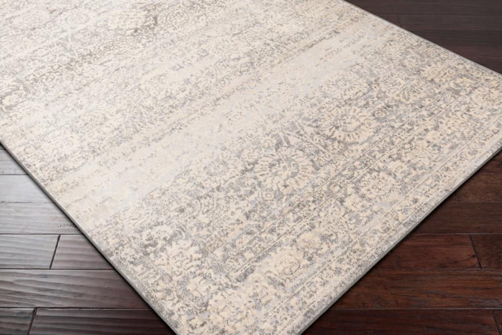 Livabliss City Light CYL-2300 Traditional Area Rug